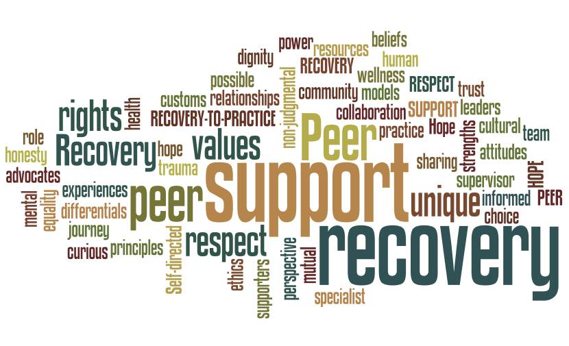 peer support recovery poster